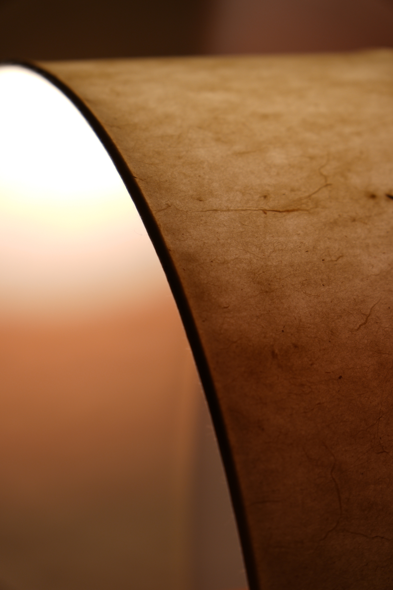 MaisonCédrat_Lumia_visuel03_BD