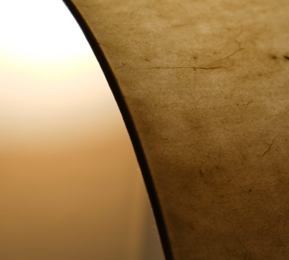 Détail des fibres du papier washi