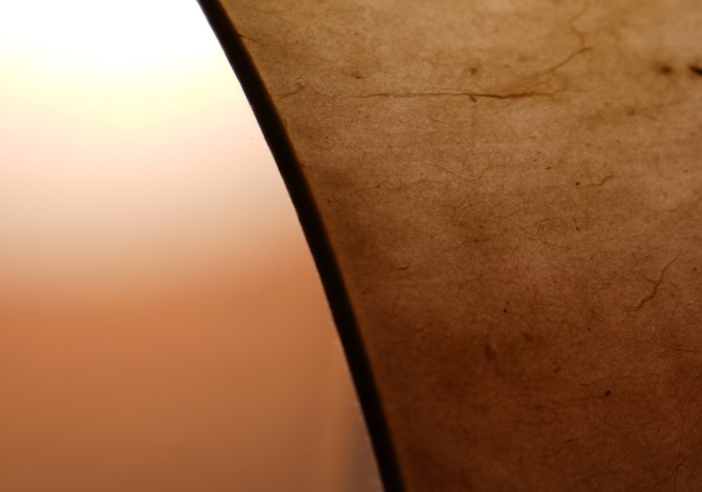 MaisonCédrat_Lumia_visuel03_BD