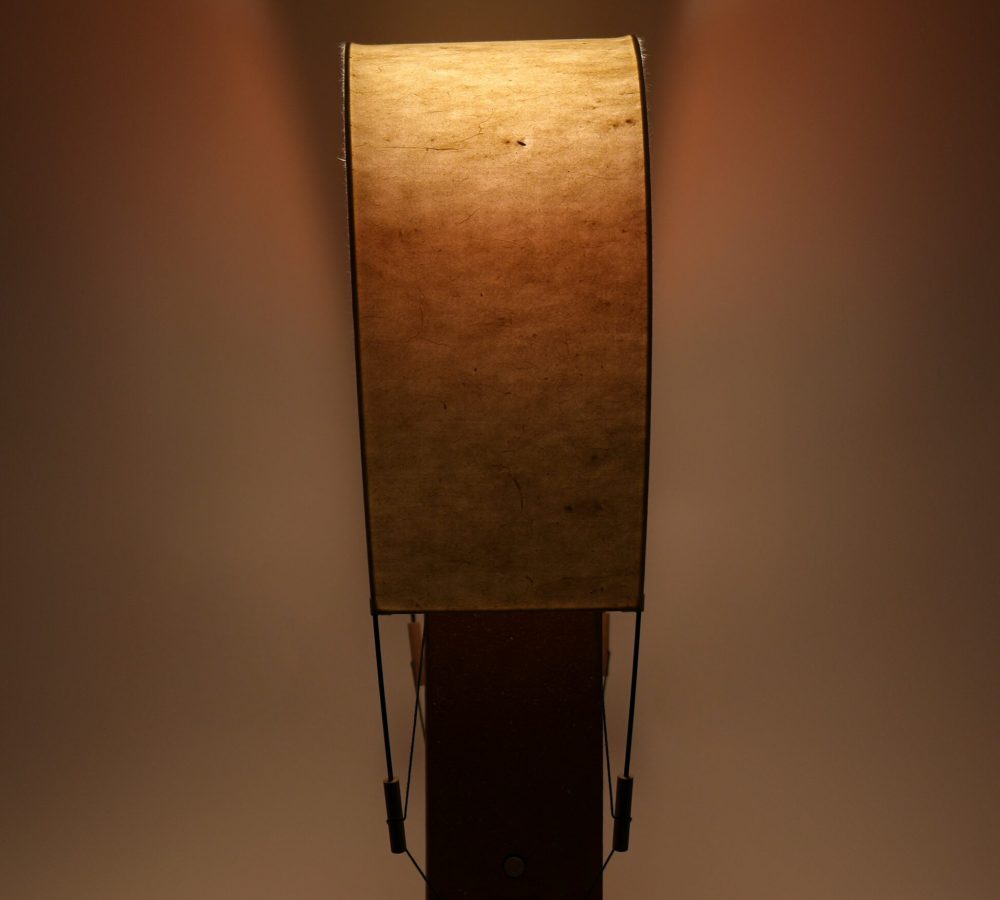 Profil de Lumia Terracotta révélant la diffusion de la lumière à travers le papier washi